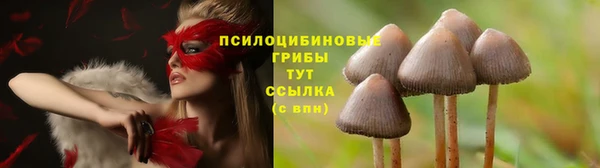 MDMA Алексеевка