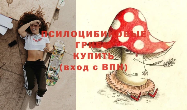мдпв Алзамай