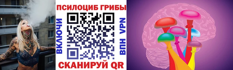 Псилоцибиновые грибы ЛСД OMG ССЫЛКА Микунь цены наркотик